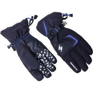 Blizzard REFLEX SKI GLOVES Lyžařské rukavice, , veľkosť 10