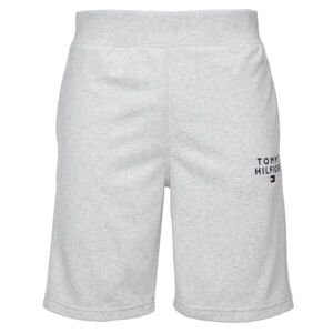 Tommy Hilfiger SHORT Pánské šortky, šedá, veľkosť XL