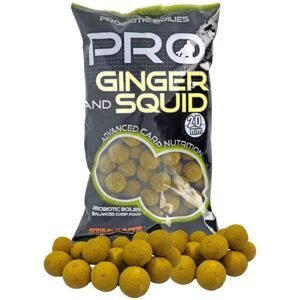 Starbaits Boilies Pro Ginger Squid 800g - 20mm