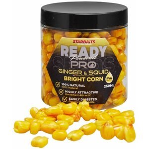 Starbaits Kukuřice Bright Ready Seeds Pro 250ml - Ginger Squid