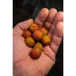 Chytil Master Carp Boilies 16 mm 250 g - Scopex