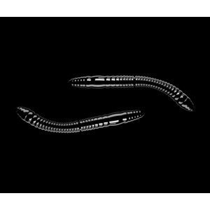 Libra Lures Fatty D’Worm Black - D’Worm 6,5cm 10ks