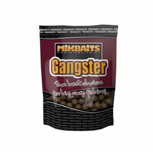 Mikbaits Boilie Gangster - G4 Squid Octopus 24mm 1kg