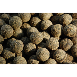 LK Baits Boilie Fish Activ 20mm 1kg - Nutric Acid