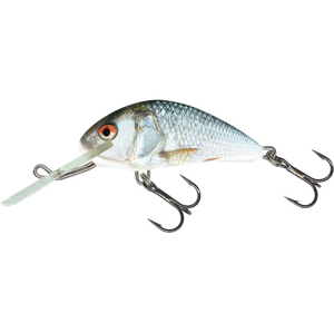 Salmo Wobler Hornet Sinking 6cm - Real Dace