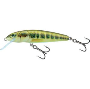 Salmo Wobler Minnow Sinking 7cm