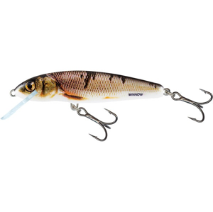 Salmo Wobler Minnow Floating 6cm - Wounded Dace