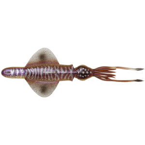 Savage gear swim squid rtf cuttlefish - 25 cm 160 g