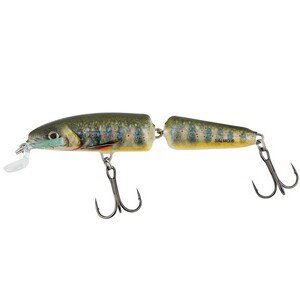 Salmo wobler fanatic floating lake charr 7 cm