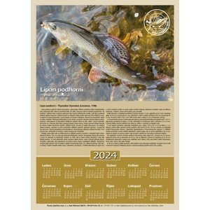 Črs nástěnný kalendář jednolistý na rok 2024 (s textem)