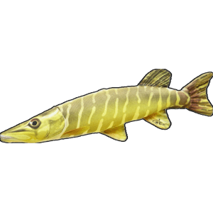 Gaby plyšová ryba štika mini 45 cm
