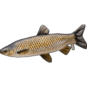 Gaby plyšová ryba amur mini 40 cm