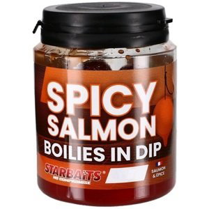 Starbaits boilies in dip concept spicy salmon 150 g - 24 mm