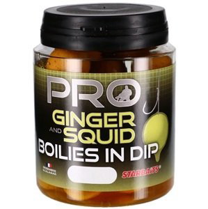 Starbaits boilies in dip probiotic ginger squid 150 g - 24 mm
