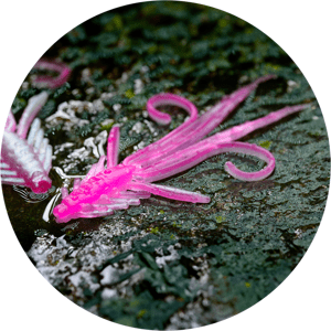 Redbass gumová nástraha nymfa pink/silver uv color - s 53 mm
