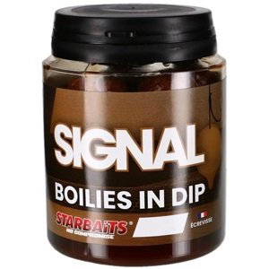 Starbaits boilies in dip concept signal 150 g - 20 mm