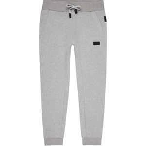 O'Neill LM PREMIUM JOGGER SWEAT PANTS šedá M - Pánské tepláky