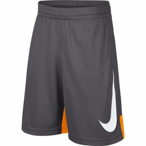 Nike B M NP DRY SHORT HBR šedá XL - Chlapecké sportovní trenky