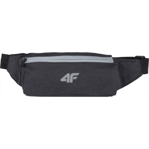 4F WAISTBAG  NS - Ledvinka