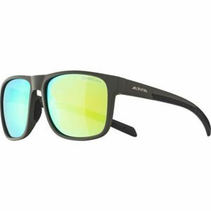 Alpina Sports NACAN III Tmavě šedá  - Unisex sluneční brýle